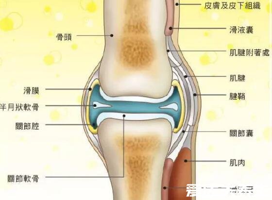 膝蓋各個部位疼痛圖解，膝蓋兩側(cè)疼痛最嚴重須及時就醫(yī)