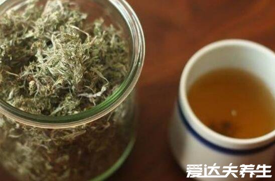 白蒿泡水喝的功效，有效保護(hù)肝臟治療黃疸(四大功效)