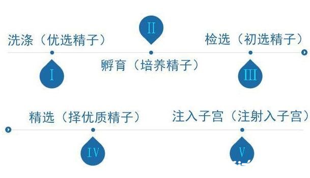 人工授精的過程及成功率，從檢查到驗孕4個過程成功率可達70%