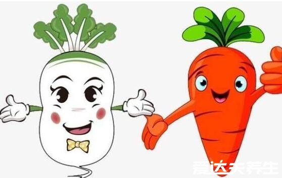 白蘿卜不能和什么一起吃，10大白蘿卜相克食物表(胡蘿卜在其中)