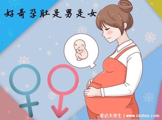 米奇是男寶還是女寶，醫(yī)生的九大暗語告訴你生男生女