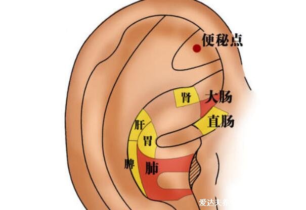 催便的方法5分鐘見(jiàn)效，按揉食指上的這個(gè)穴位比開(kāi)塞露還有效