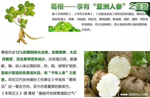 葛根的功效與作用，5大功效3大吃法和3大禁忌須知