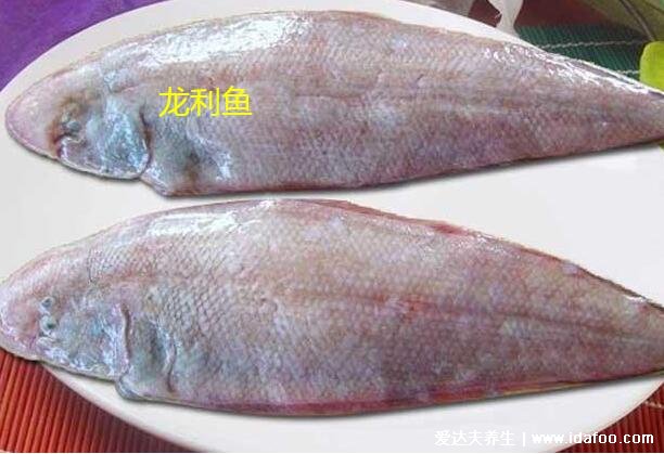 巴沙魚片和龍利魚片的區(qū)別，龍利魚肉多刺少價格更貴