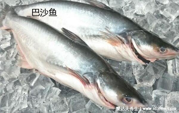 巴沙魚片和龍利魚片的區(qū)別，龍利魚肉多刺少價格更貴