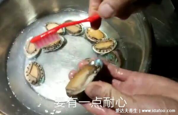 鮑魚(yú)怎么殺和清洗，黑膜和內(nèi)臟一定要處理干凈(視頻圖解)