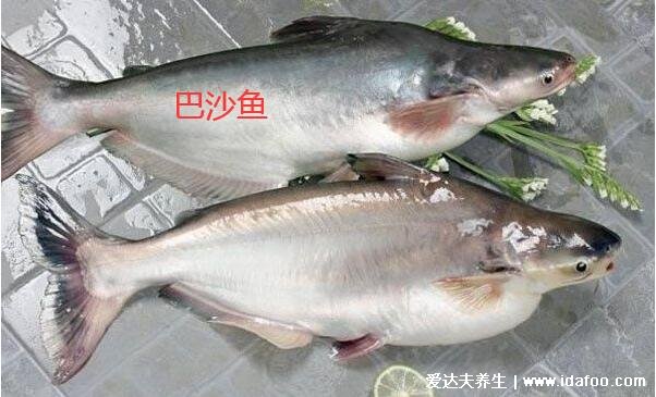 巴沙魚和龍利魚的區(qū)別，龍利魚營養(yǎng)價值高所以價格更高