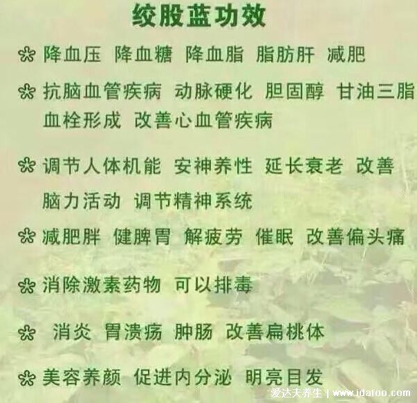 絞股藍(lán)的功效與作用，美容減肥不反彈等五大功效(3大副作用)