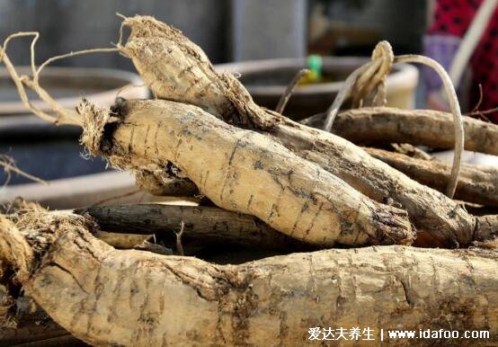 葛根的功效與作用禁忌及食用方法，可豐胸美容/清熱解毒(圖片)