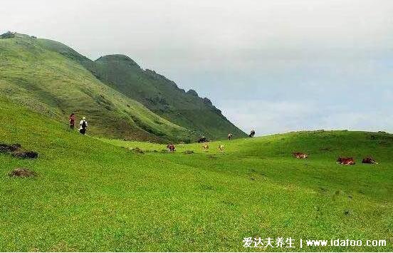 五一旅游攻略，適合五一去的旅游景點(蘇州必去)