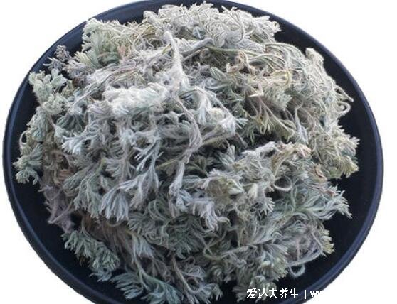 白蒿的功效與作用圖片，可抑菌消炎/預(yù)防膽固醇/保護(hù)肝臟