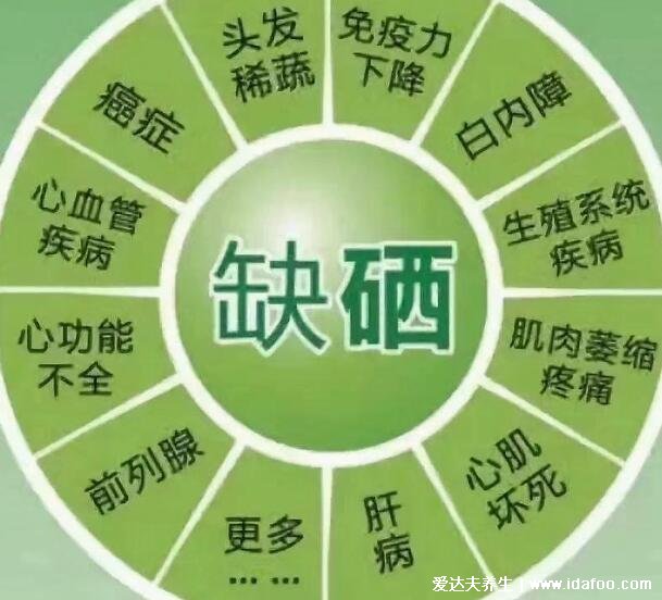 硒的作用和補(bǔ)硒的好處，能延長壽命保護(hù)肝臟和心血管