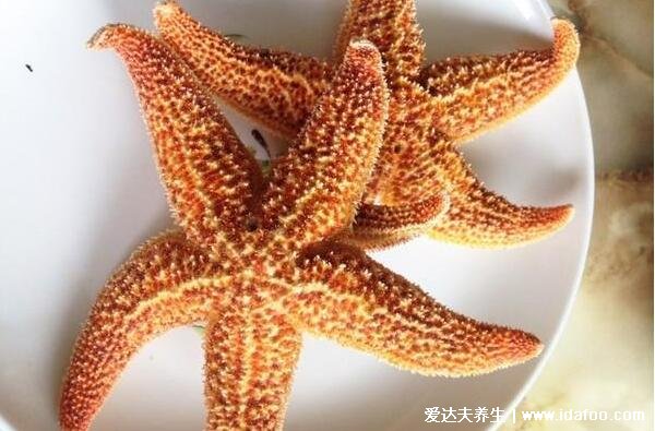 海星能吃嗎怎么吃，能吃教你超美味的四種海星吃法(兩大禁忌)