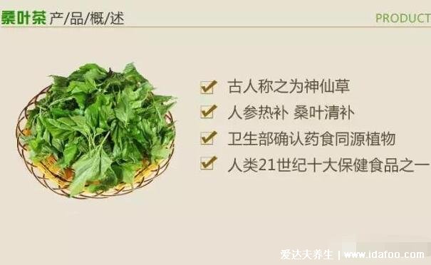 桑葉的功效與作用禁忌，打霜后的霜桑葉品質(zhì)更佳(6大功效)