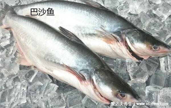 巴沙魚片和龍利魚片是同一種魚嗎，巴沙魚和龍利魚的4大區(qū)別