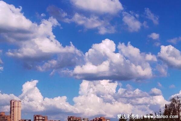 今年夏天又四十度了什么意思，懷念那個(gè)夏天和那個(gè)夏天的你