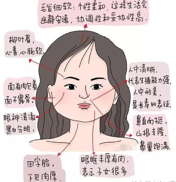 女人極貴的面相和體相，鼻梁挺直額頭飽滿的女人標(biāo)準(zhǔn)旺夫相