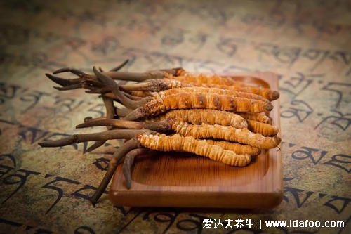 三類(lèi)人不能吃冬蟲(chóng)夏草，冬蟲(chóng)夏草的食用禁忌