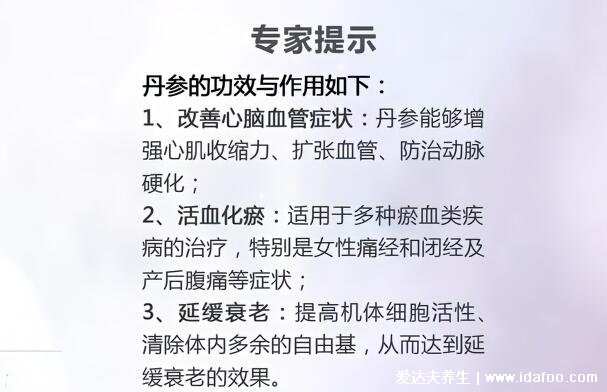 丹參的功效與作用禁忌，活血化瘀治痛經(jīng)/預(yù)防心血管疾病(孕婦慎服)