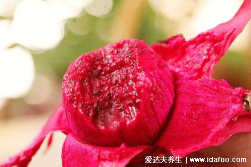 紅心火龍果和白心火龍果的區(qū)別和營養(yǎng)，紅心火龍果營養(yǎng)價值更好