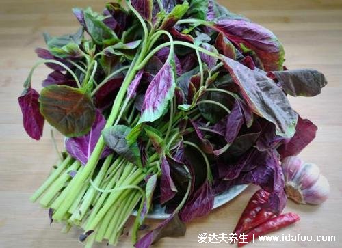 莧菜圖片功效與作用，莧菜的功效與禁忌(補血佳品)