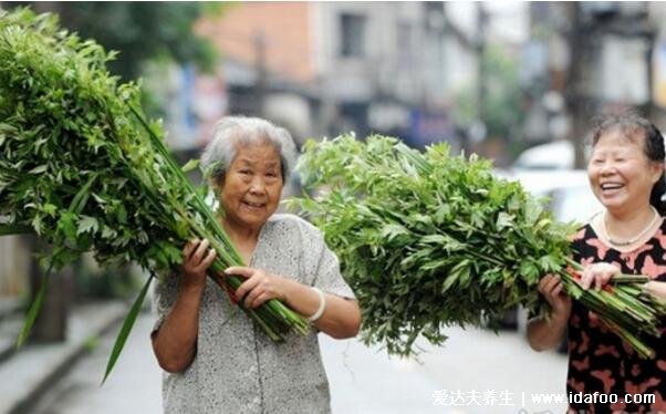 端午節(jié)門上掛艾草寓意什么意思，招百福/驅(qū)鬼辟邪/驅(qū)蟲防病