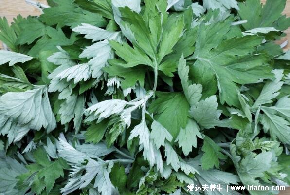 艾蒿圖片和艾草的區(qū)別，同種植物叫法不同(艾草和蒿草的區(qū)別)