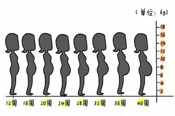 懷孕1一9月肚子變化圖，4月份孕肚明顯隆起