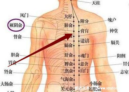 拔火罐有什么好處，壞處是容易皮膚潰爛（附拔火罐穴位圖）