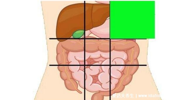 詳細(xì)上腹部疼痛的位置圖，不一定是胃疼還可能是這3大疾病