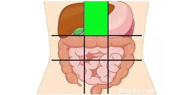 詳細(xì)上腹部疼痛的位置圖，不一定是胃疼還可能是這3大疾病