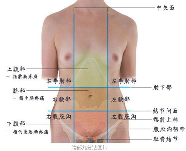 腹部疼痛9位置圖，9個(gè)不同部位代表不同疾病(腹部九分法)