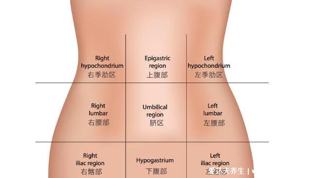 腹部疼痛位置圖，右下和左側(cè)疼的女性要注意了(腹痛自診方法)