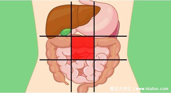 腸梗阻疼痛部位圖片，肚臍周圍疼/腹脹不排氣不排便(死亡率10%)