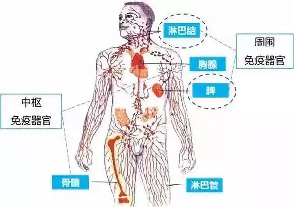 腋窩淋巴結腫大圖片男，淋巴結凸起紅塊可能還疼痛