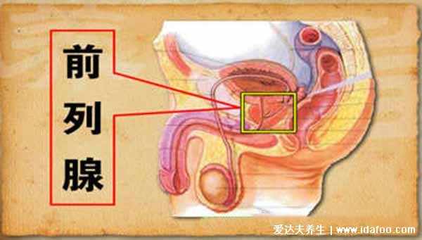 前列腺炎一杯水自測方法，其實三杯尿更可靠（專業(yè)醫(yī)生推薦）