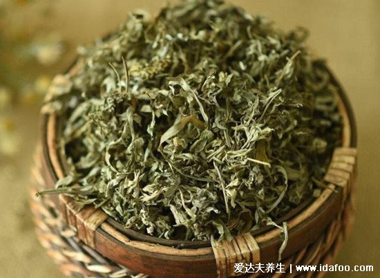 不同形態(tài)艾草長(zhǎng)什么樣子圖片，艾蒿和艾草有什么區(qū)別