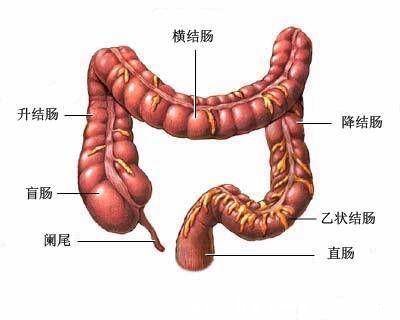 最難治的腫瘤排名，胰腺癌是癌癥之王