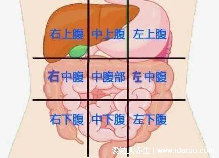 女性左上腹疼痛位置圖，警惕胃病和胰腺炎