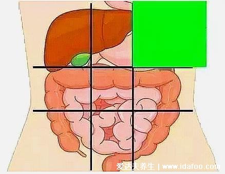 女性左上腹疼痛位置圖，警惕胃病和胰腺炎