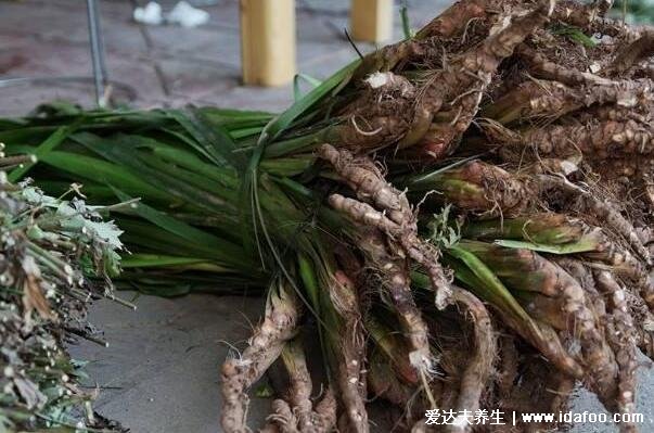 中藥材種植前景排名，十大緊缺藥材今年價值暴漲