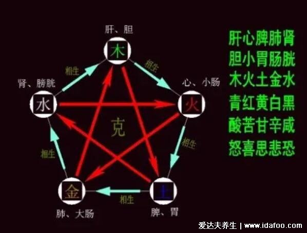 人體五臟六腑相表里一覽表，五臟六腑互為表里的關(guān)系你知道嗎