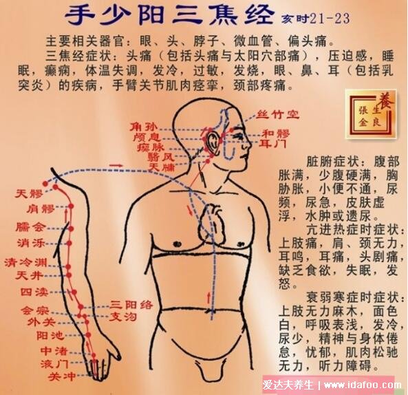 拍打三焦經(jīng)的正確方法，從肩膀拍到手掌拍打3-5分鐘(視頻教程)