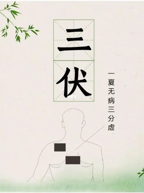 三伏三九的養(yǎng)生重要性，夏天可以治療冬天的病