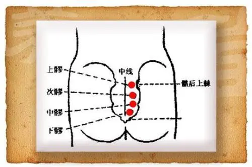 男性八髎的作用和功能主治，男性能補腎壯陽（附次髎定位技巧）