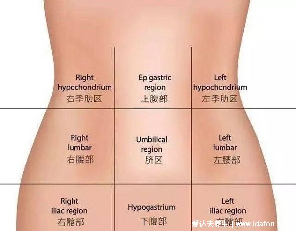 人體腹股溝在哪個位置圖片，大腿里側(cè)和腹部之間(兩側(cè)三角區(qū)域)