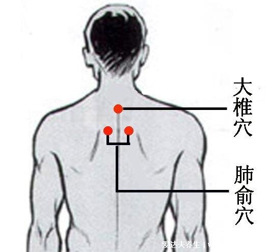 定位肺俞的準(zhǔn)確位置圖片圖解，在肩胛和第三胸椎的2個(gè)手指處