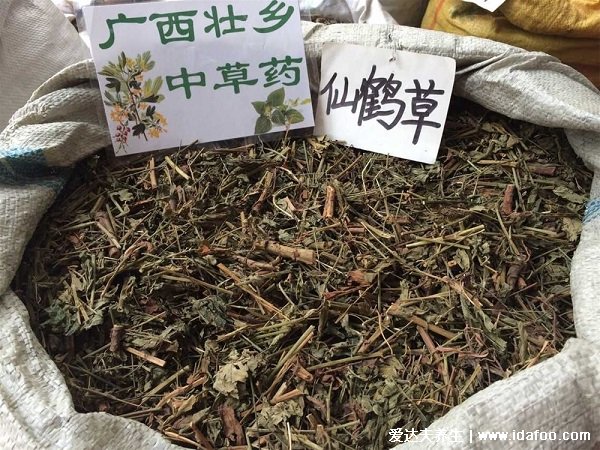 野生中藥仙鶴草圖片高清大全，具有止血的神奇功效