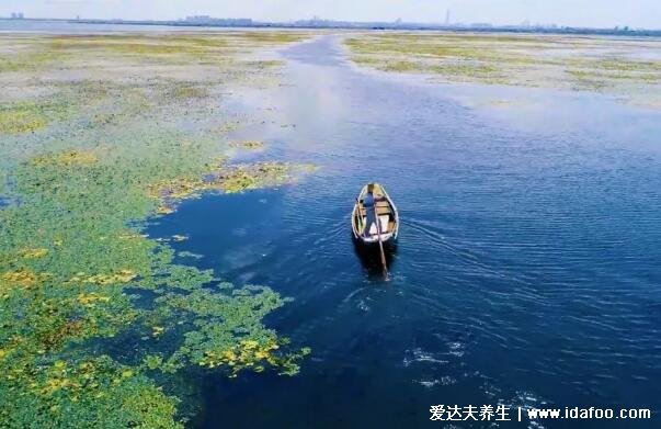 大閘蟹哪個地方的最好最出名，中國十大湖大閘蟹排名