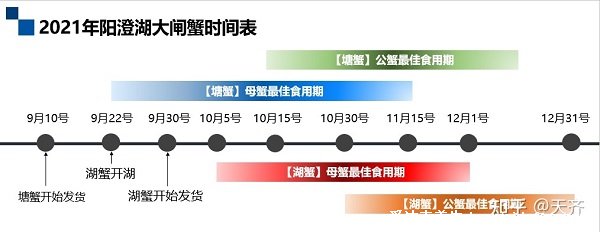 正宗陽澄湖大閘蟹多少錢一斤2021，四兩公三兩母150-160元/斤